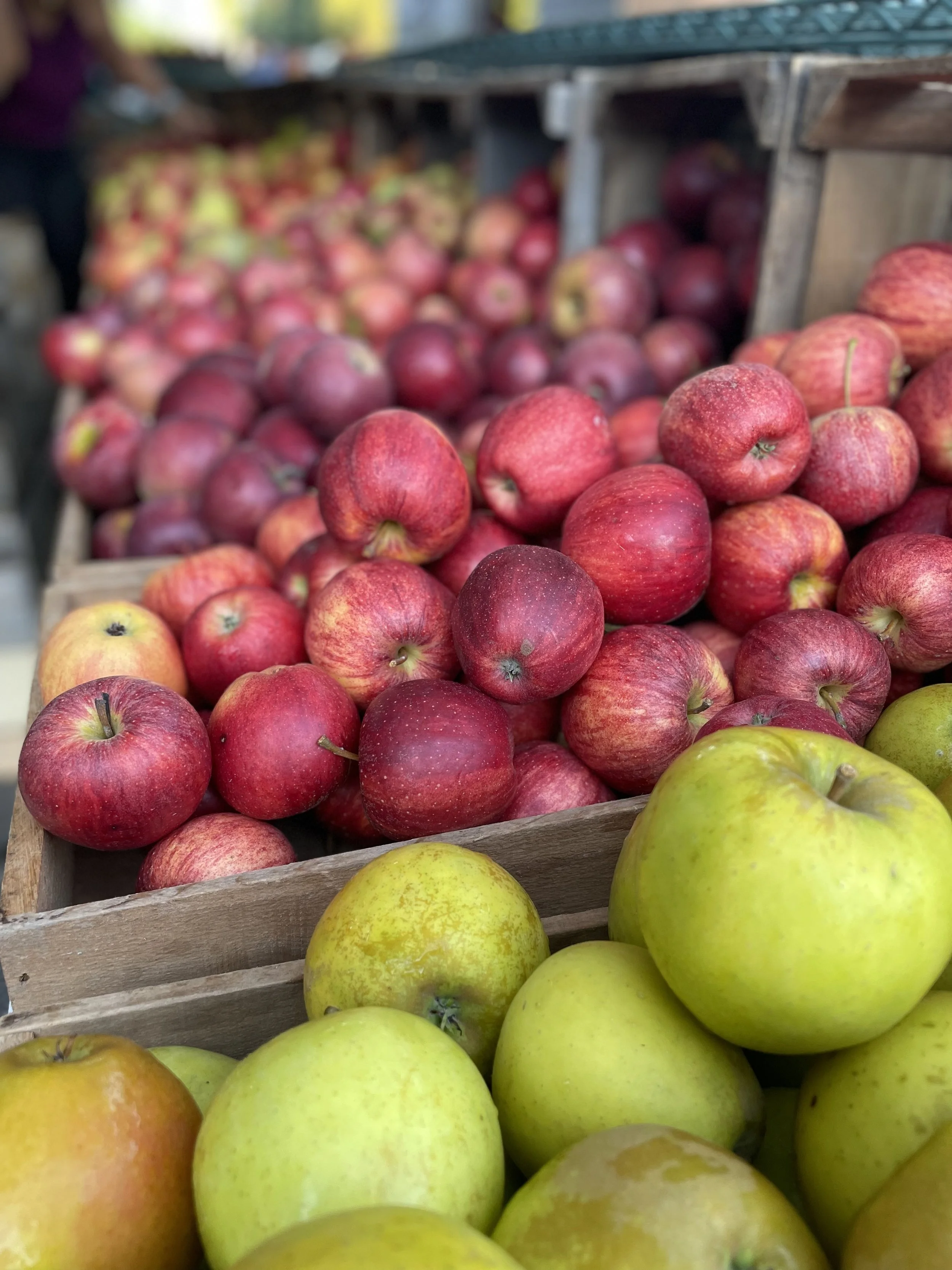 SUNDAY - BLOOMINGDALE FARMERS MARKET        