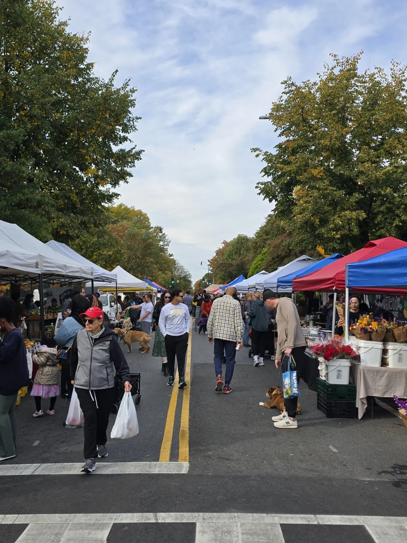 SUNDAY - BLOOMINGDALE FARMERS MARKET         