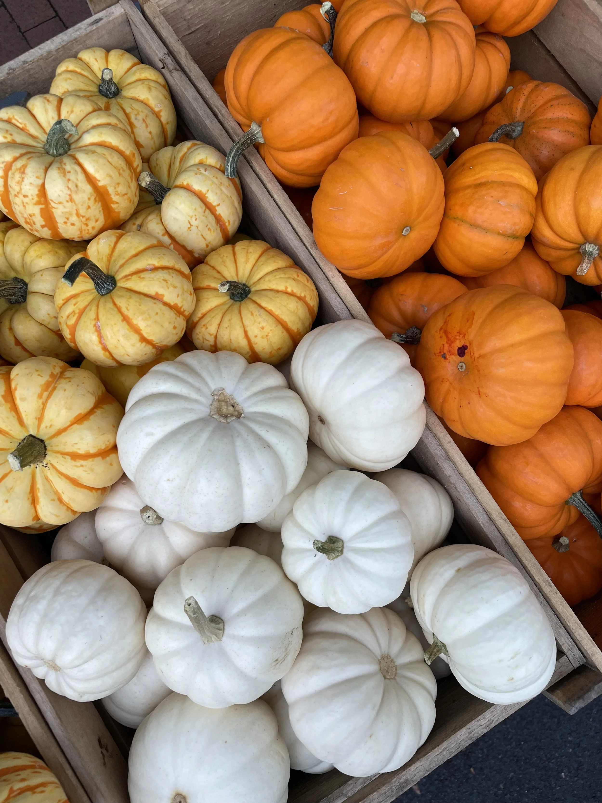 SUNDAY - BLOOMINGDALE FARMERS MARKET          