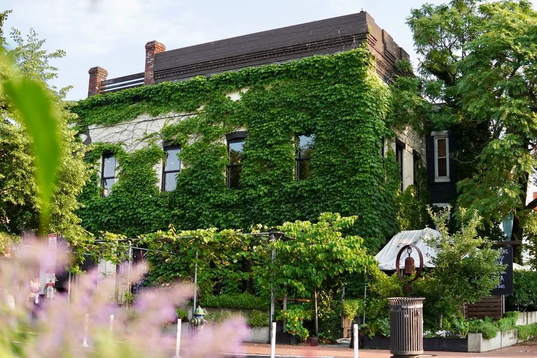 3B5979CD-34A1-469F-9A31-3D1DAE50AA42 (1).jpg