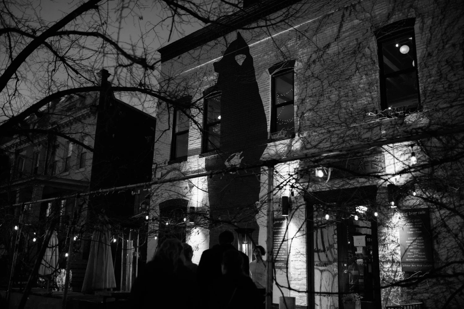 Winter-Wedding-BigBearCafe-Micro-Wedding-WashingtonDC.jpg