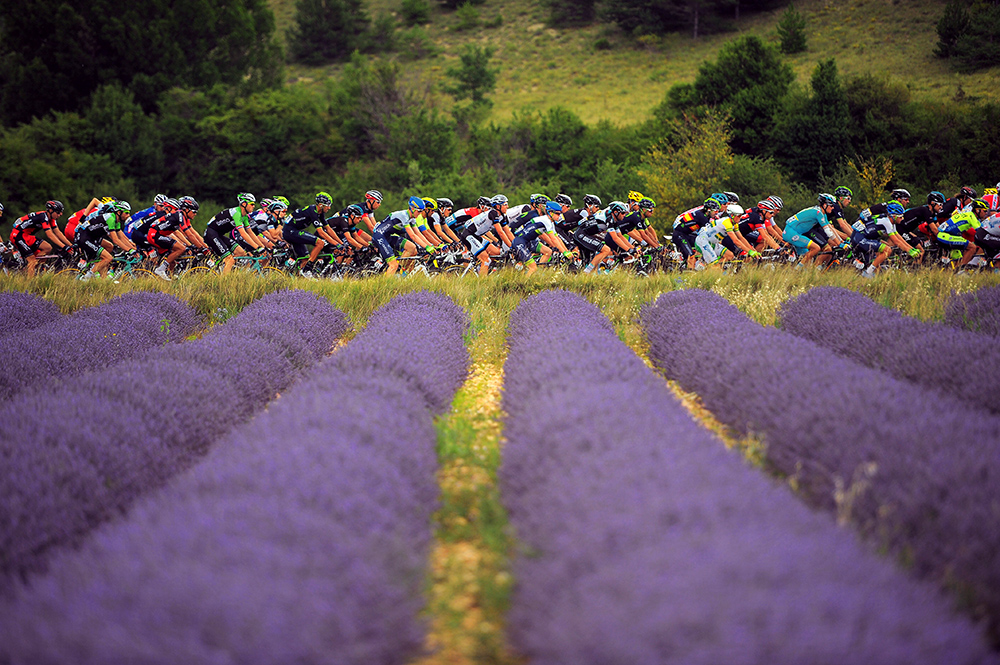 Past the lavender fields of Grasse
