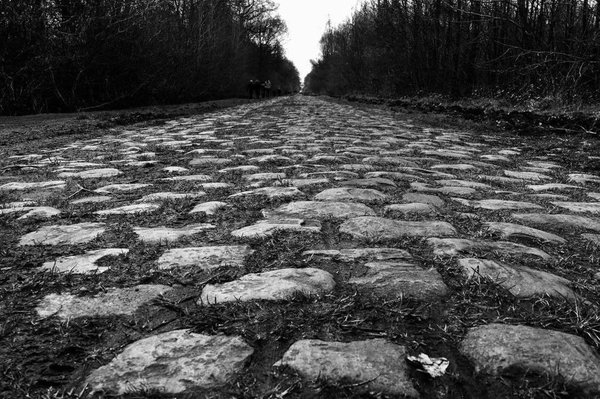The cobbles of the Arenbourg Forrest, Paris-Roubaix