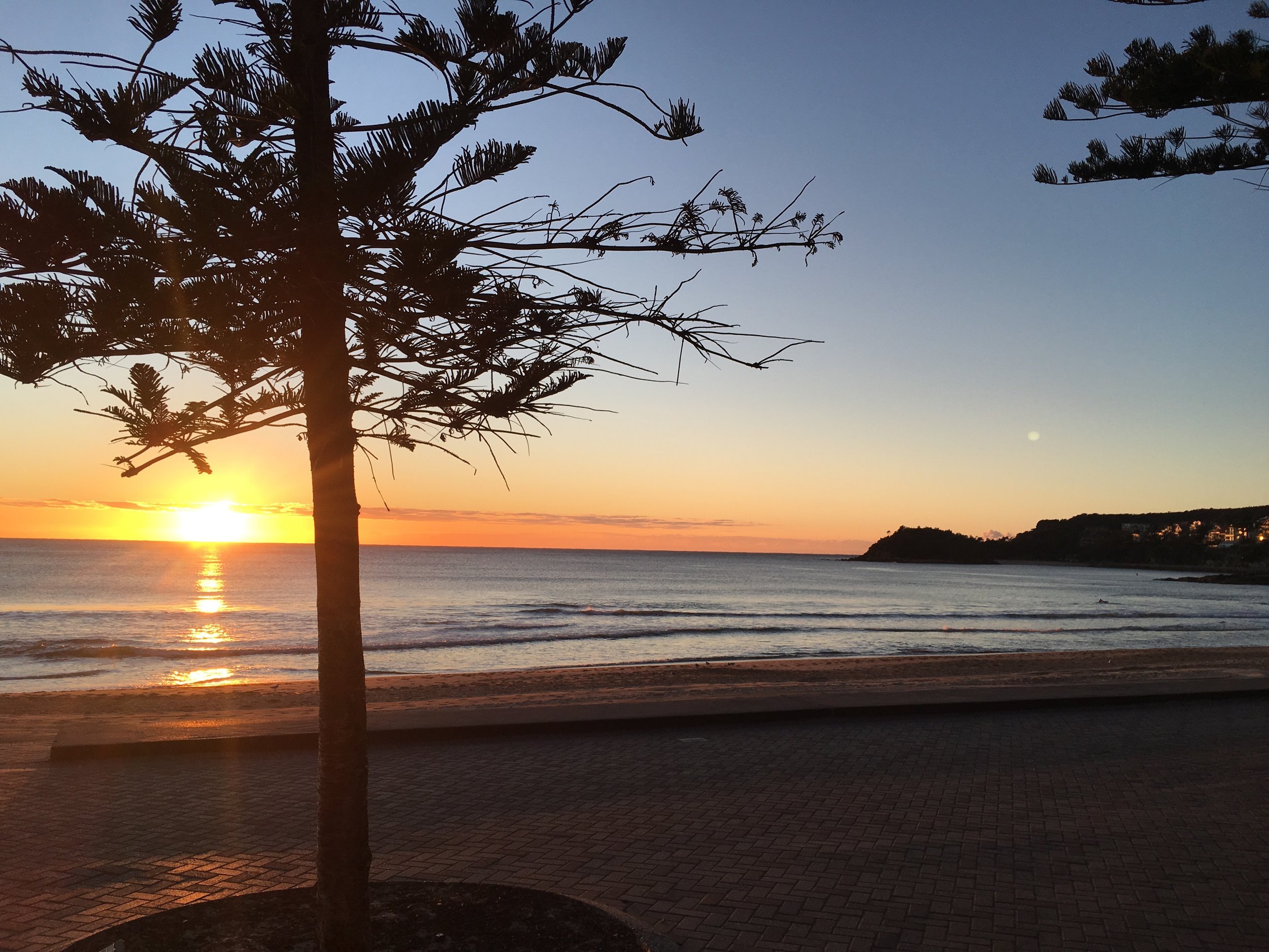 Photo from the private collection of the Mayor of Manly