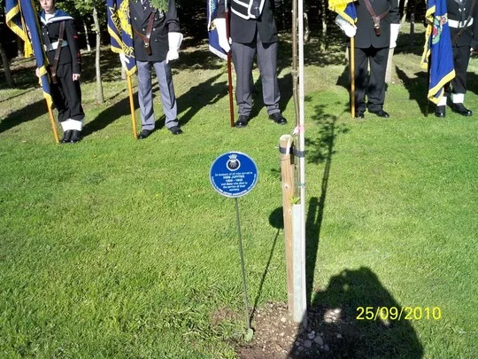 Jupiter Tree of Oak