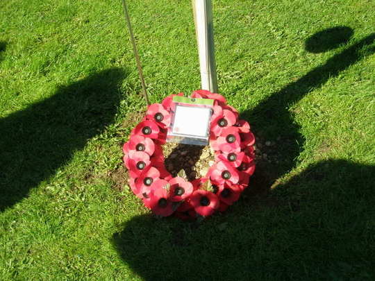 Poppy Wreath