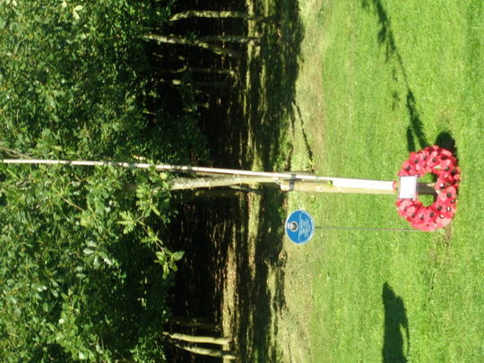 Jupiter Tree & Wreath