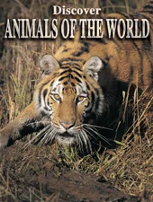 Animals Of The World
