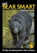 Bear Smart
