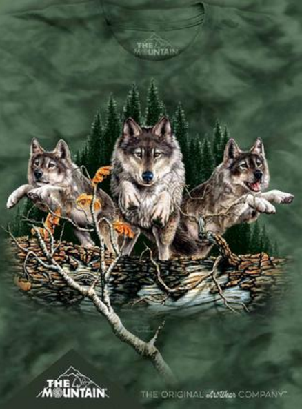 Hidden Images Collection