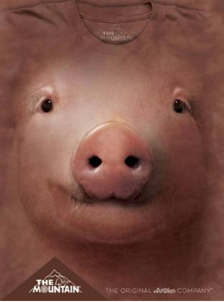 Farm And Food Collection