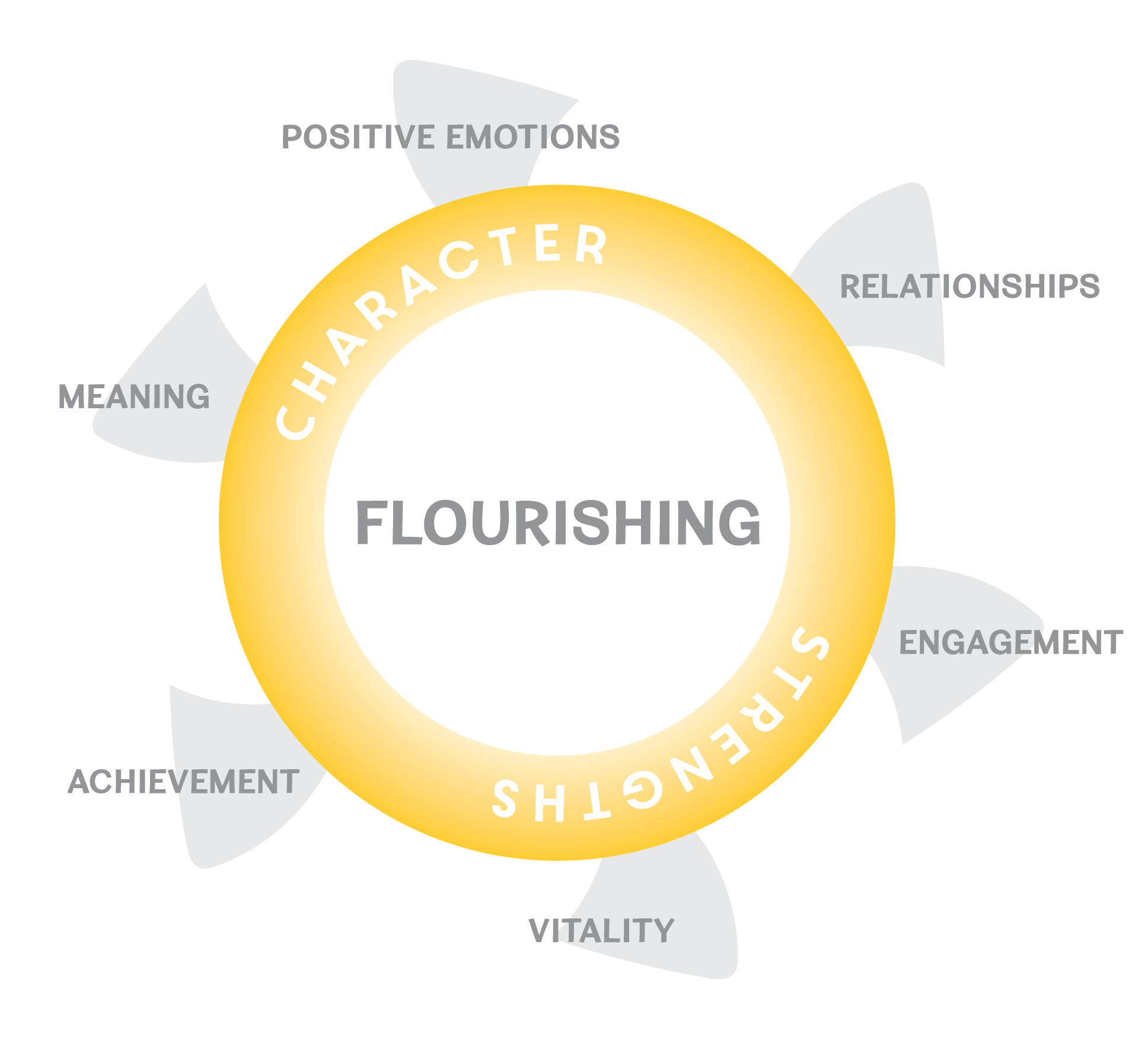Figure 1 . REVAMP Framework Source: Lead Academy)