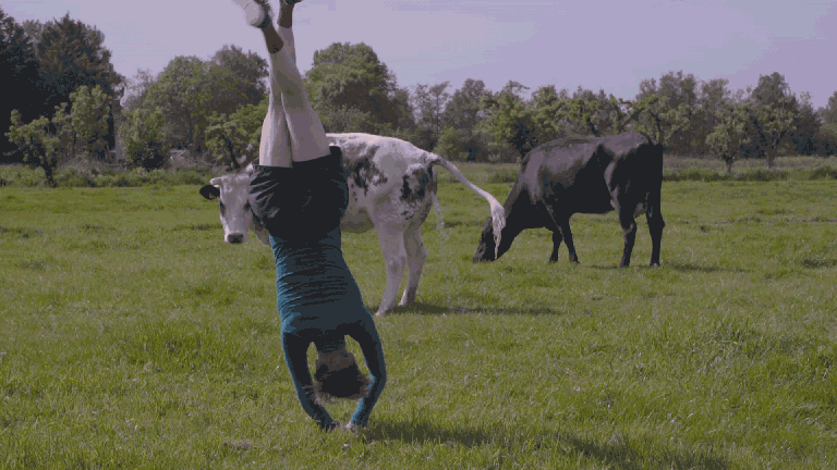 Liam-2000-pis-koe.gif