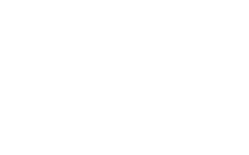 BoschParade_logo_wit.png