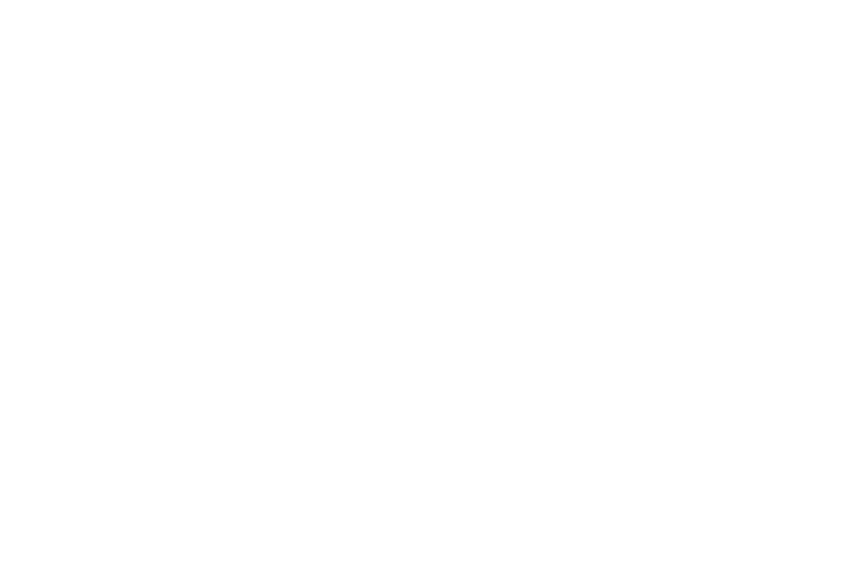 Stompen - WINNER - CINEDANS Amsterdam - ENCOURAGEMENT AWARD 2022(1).png