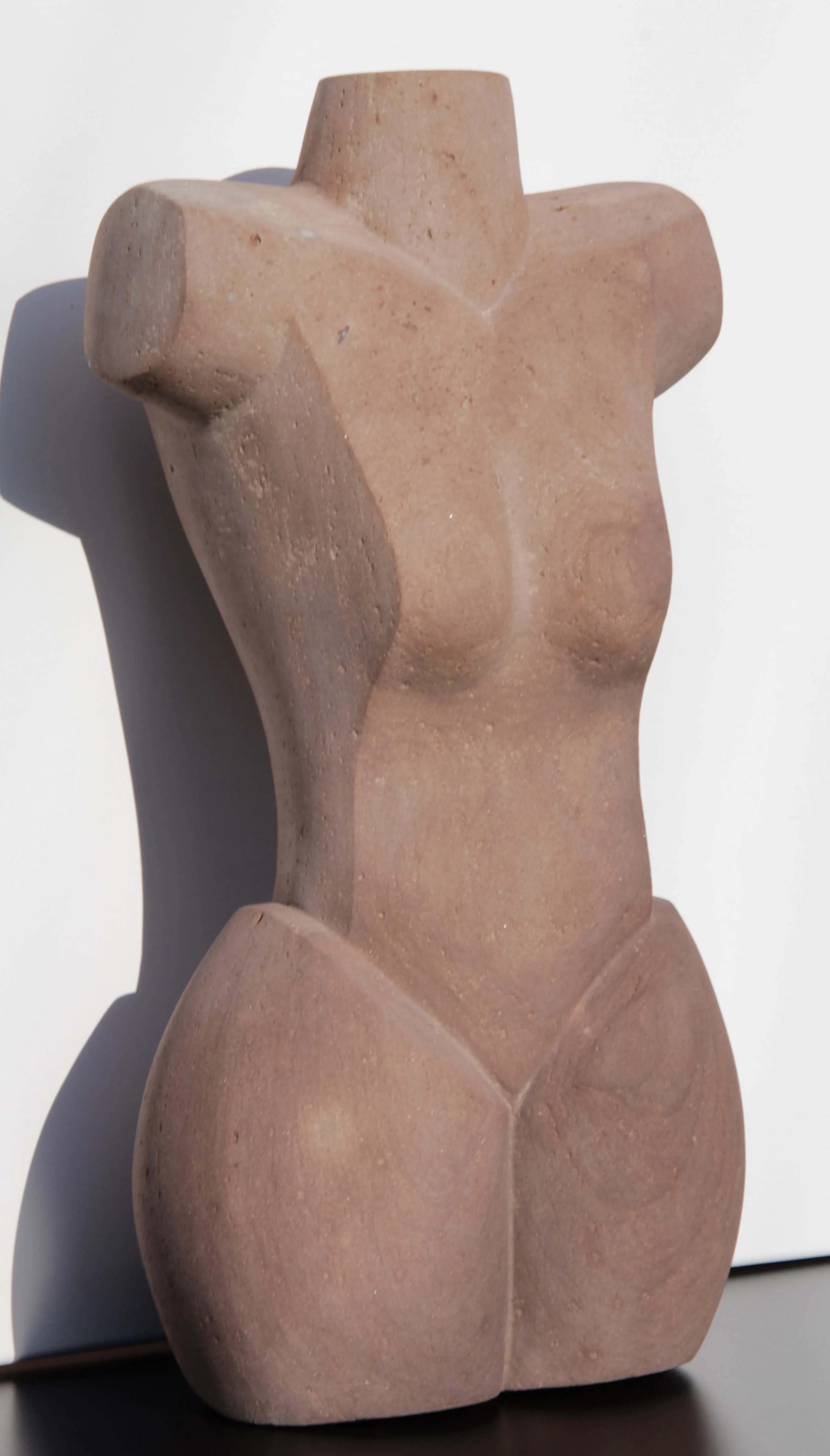 Torso