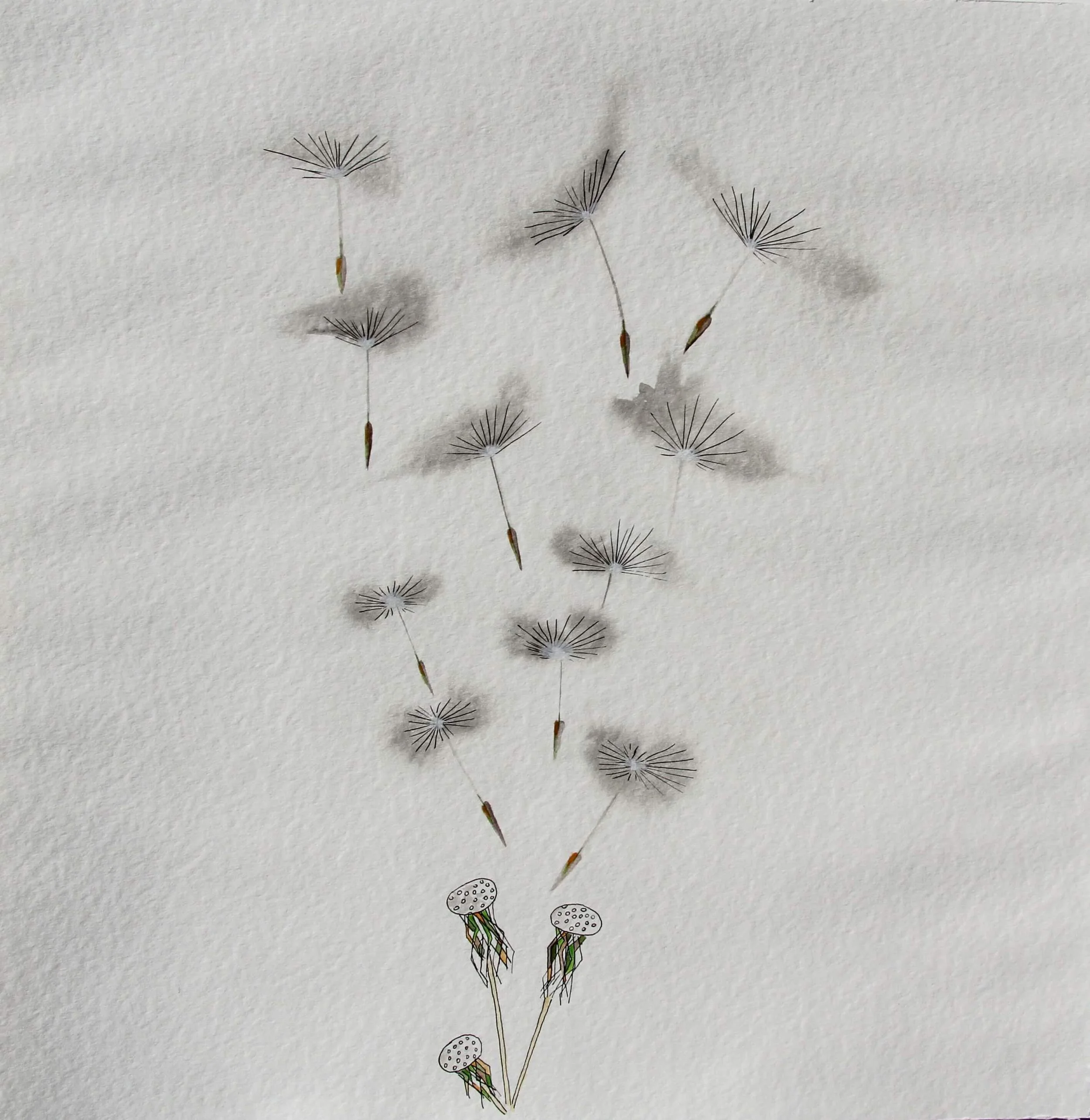 Pusteblume II