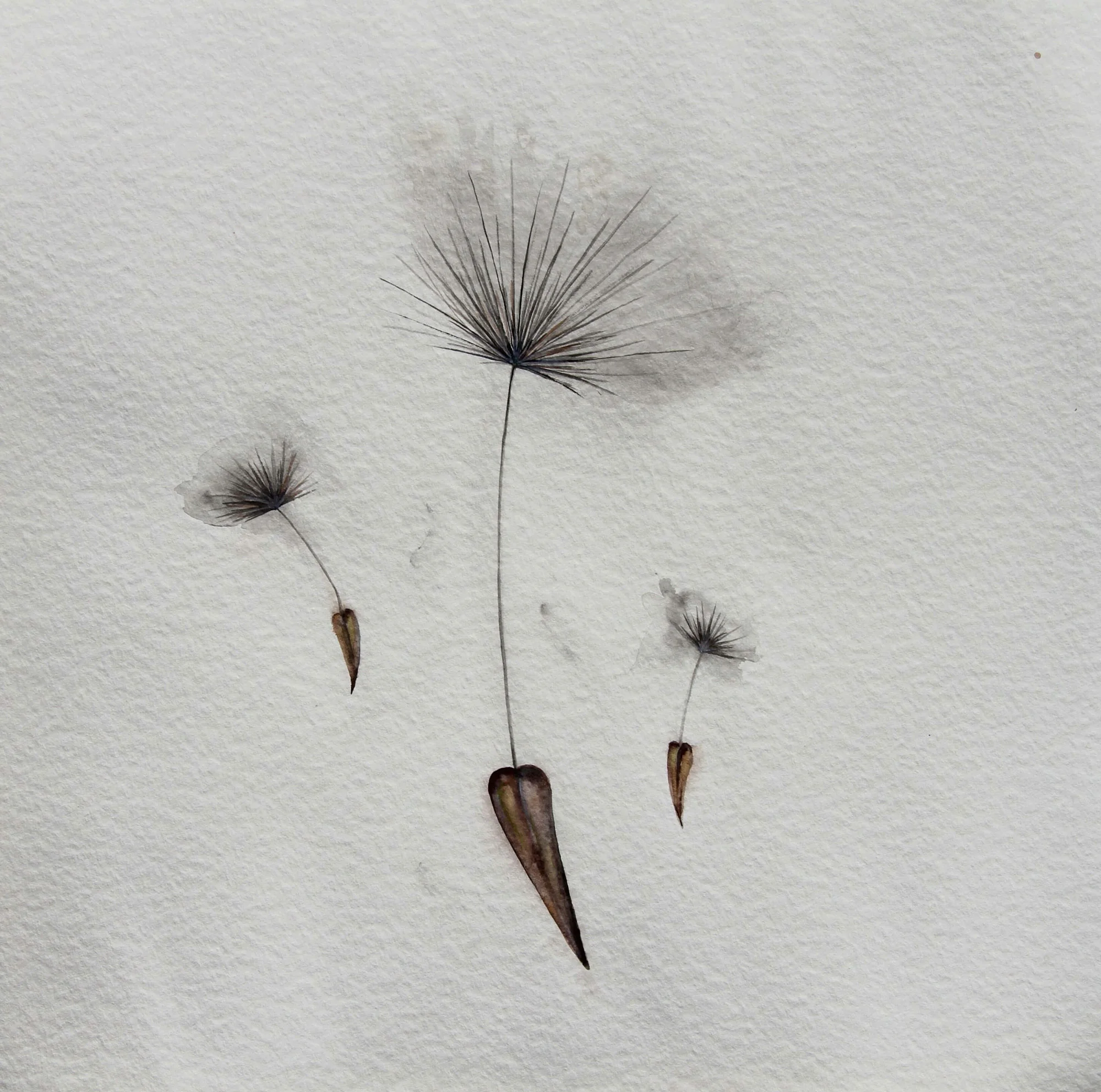 Pusteblume III