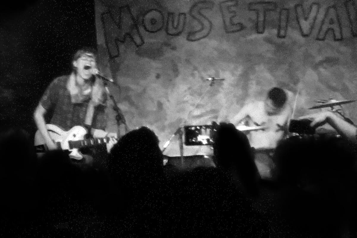 Mouses (Photography by the author)