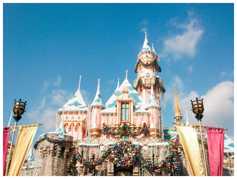 Kate-Alison-Photography-Disneyland-Photopass-Cast-Member_0007.jpg