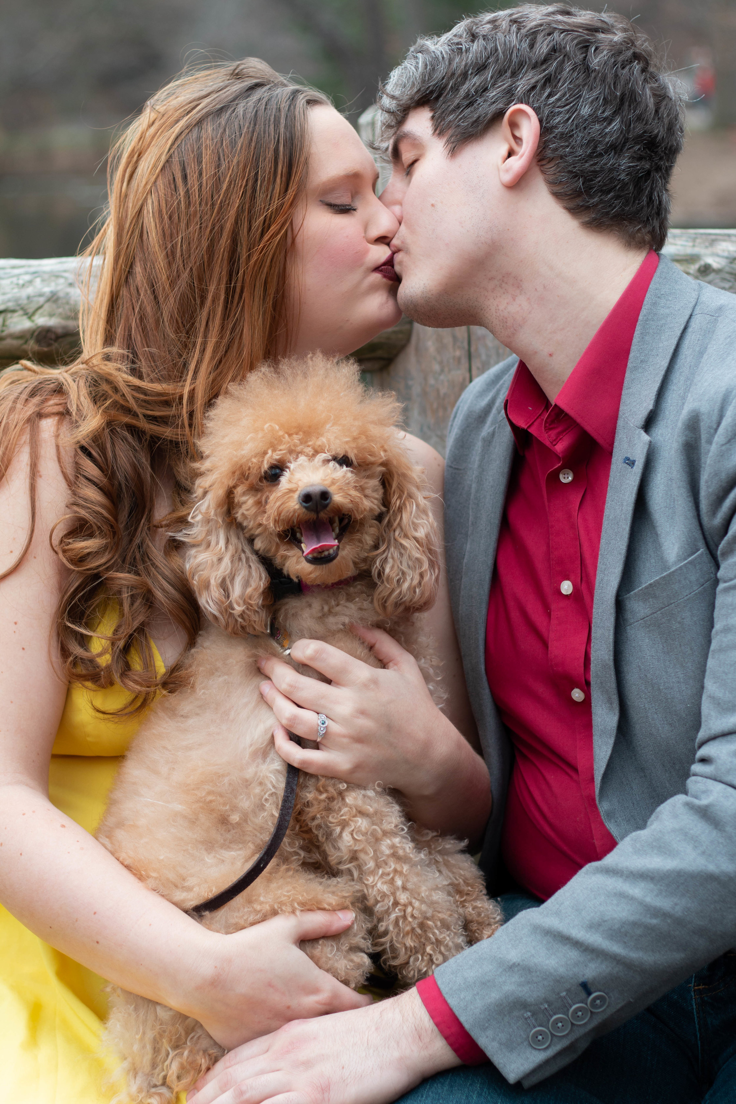 Kate-Alison-Photography-Prospect-Park-Engagement-Session-5.jpg