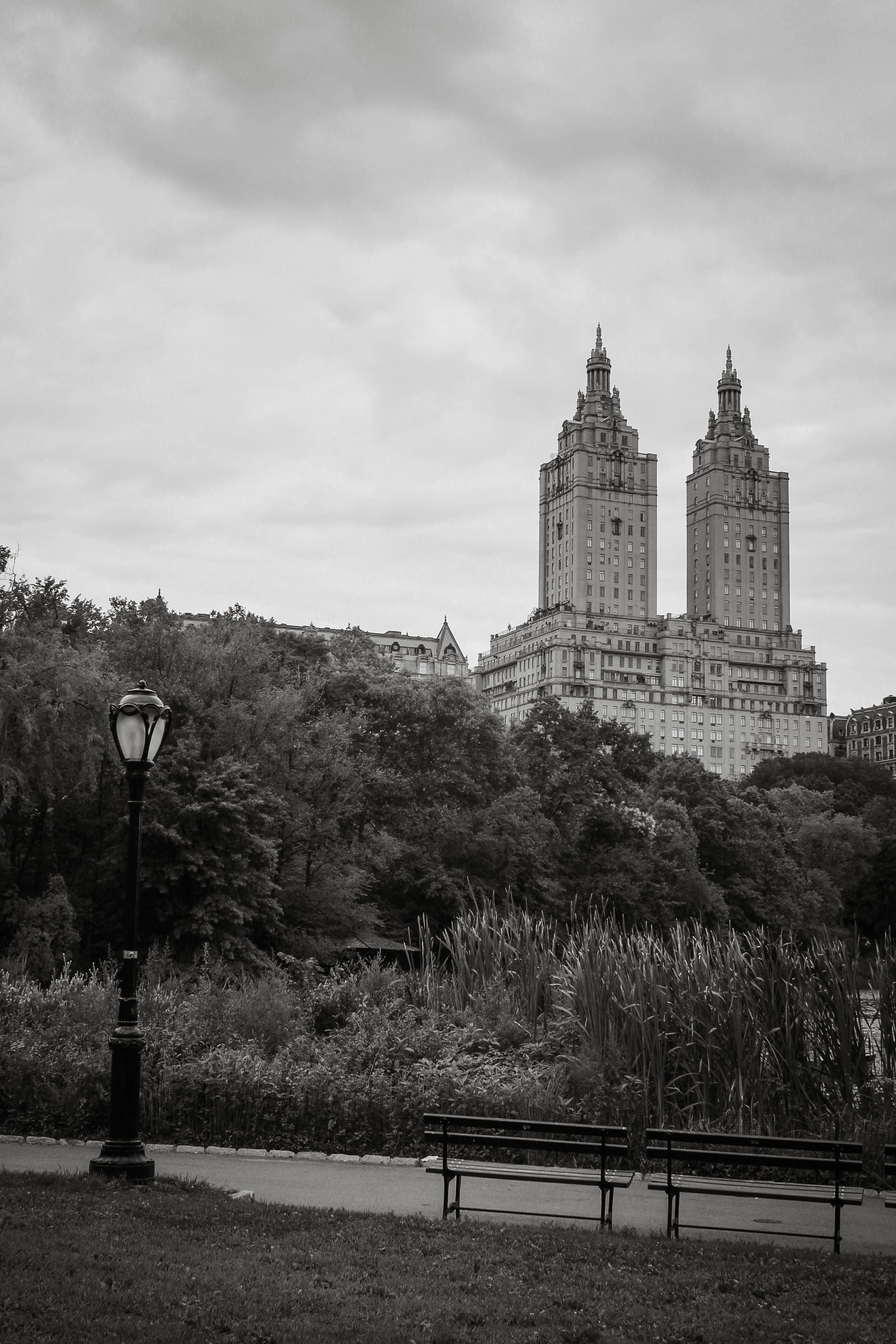 Kate-Alison-Photography-central-park.jpg