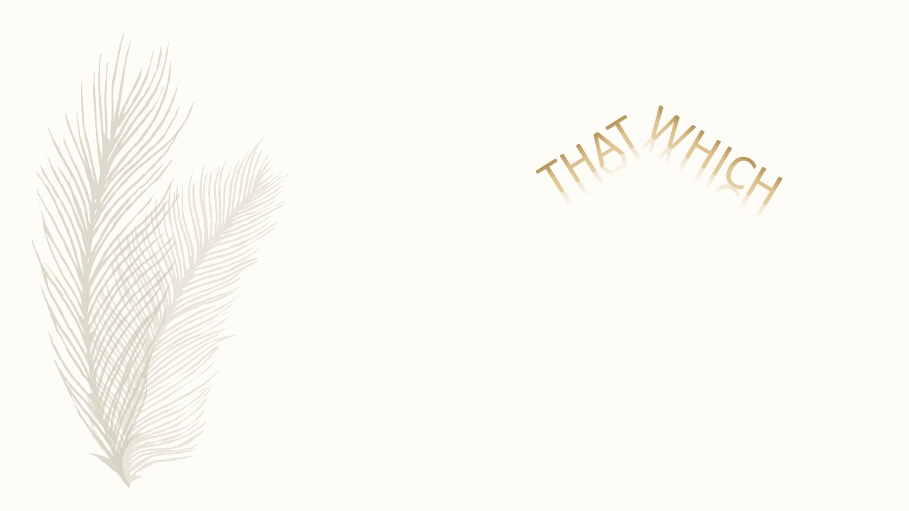 Words, words words.  'Which' & 'That'