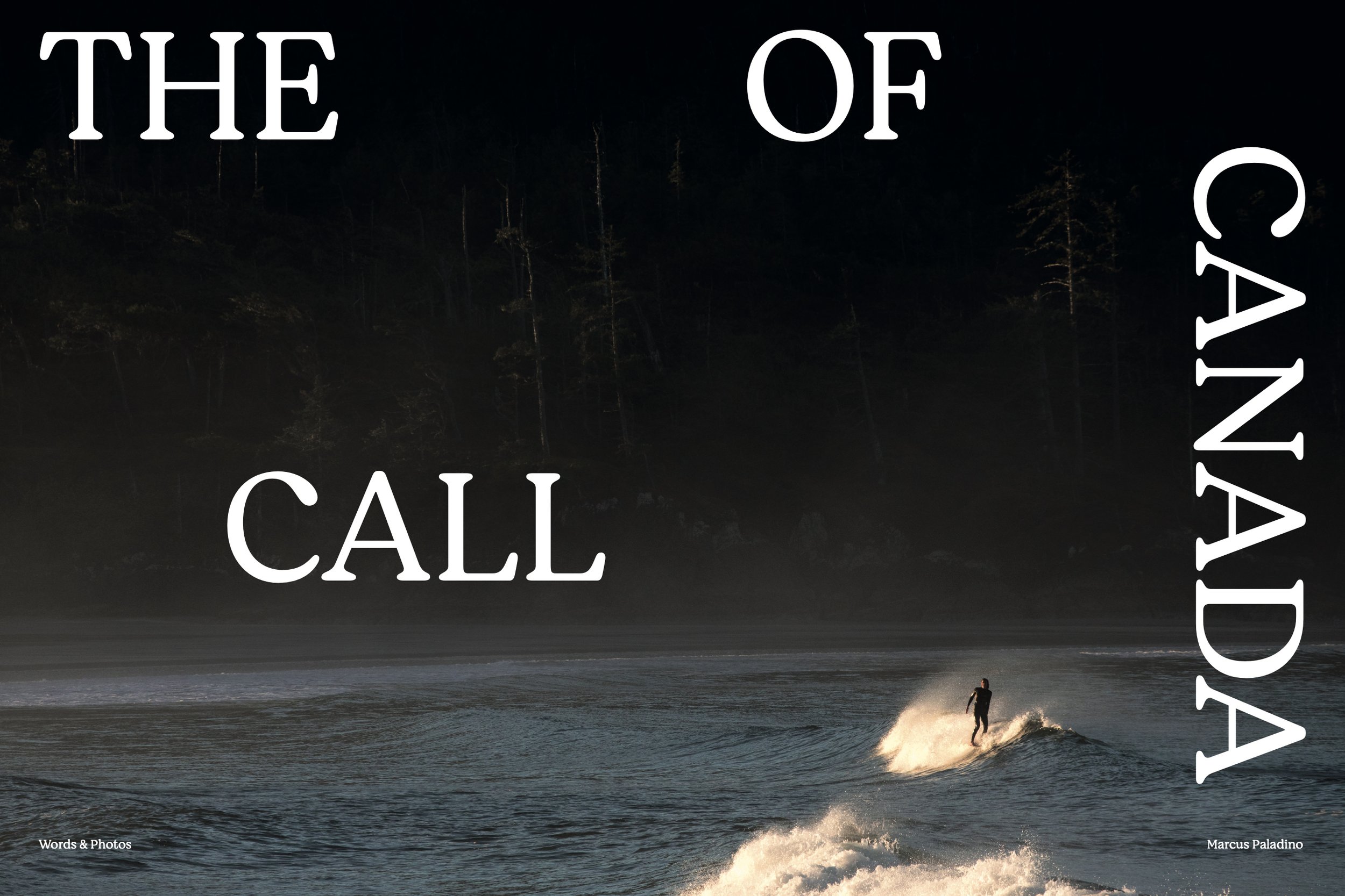 Screenshot 2026-01-30 at 4.17.12 PM.jpg