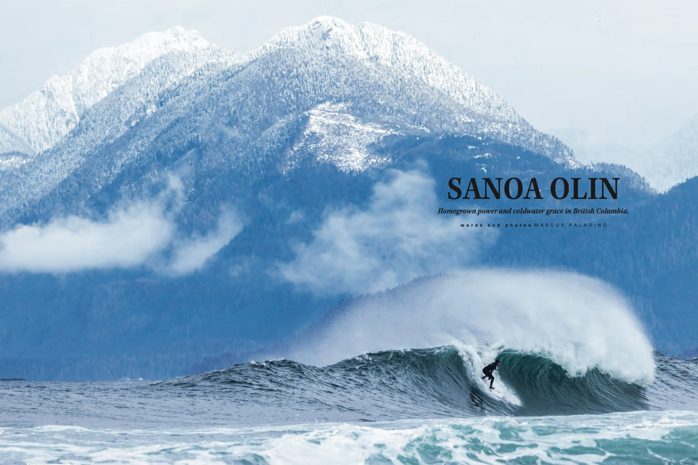 Screenshot 2026-01-30 at 4.21.32 PM.jpg