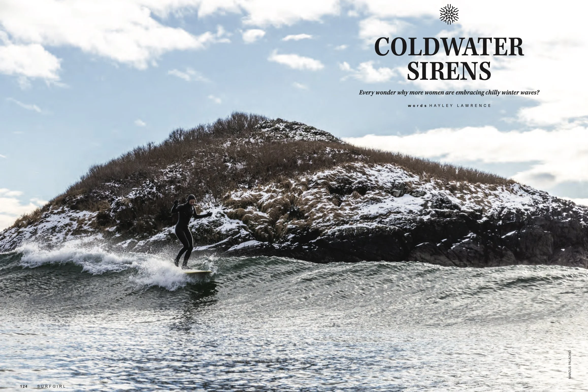 Screenshot 2026-01-30 at 4.22.20 PM.jpg