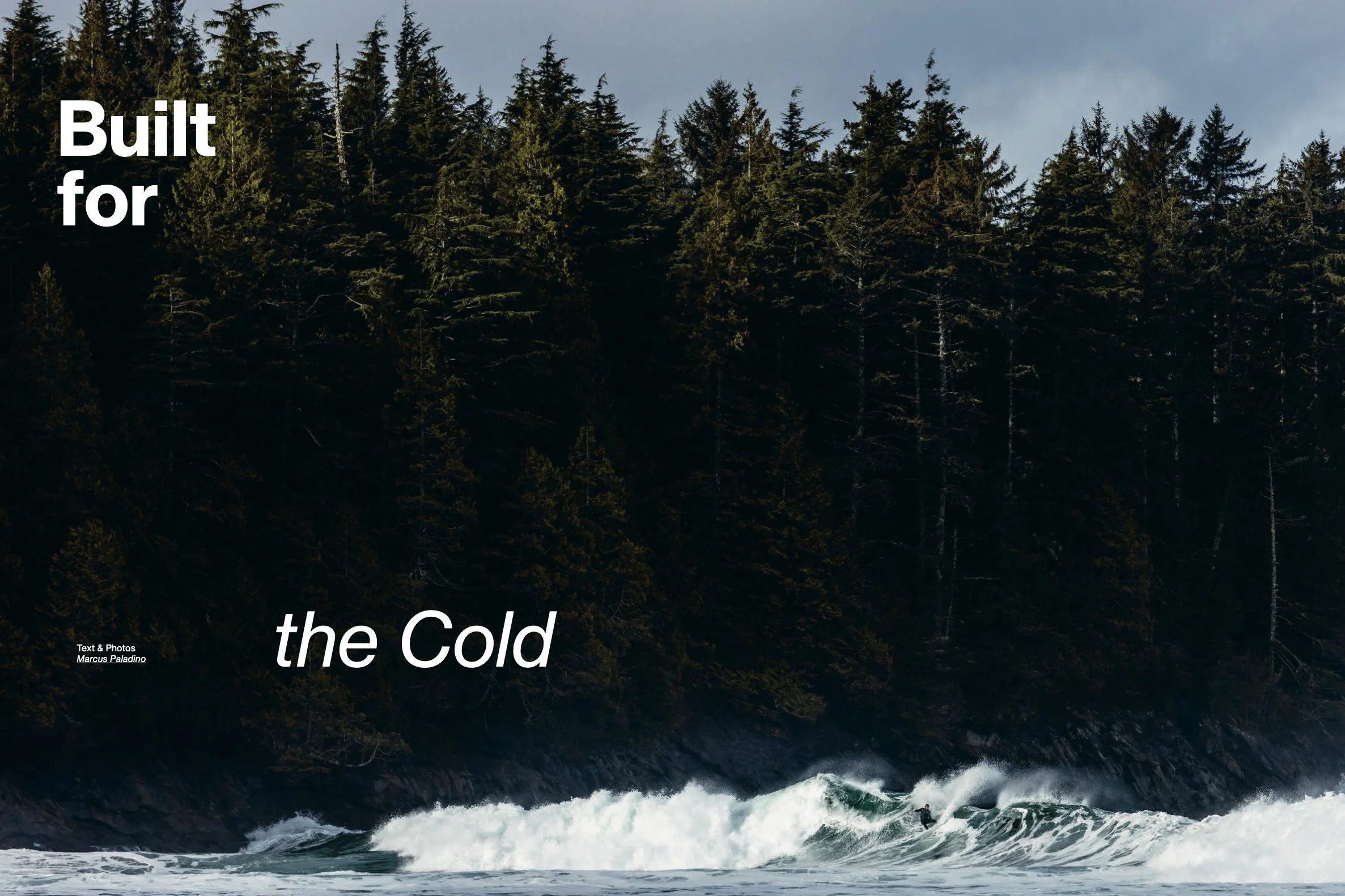 Screenshot 2026-01-30 at 4.25.57 PM.jpg