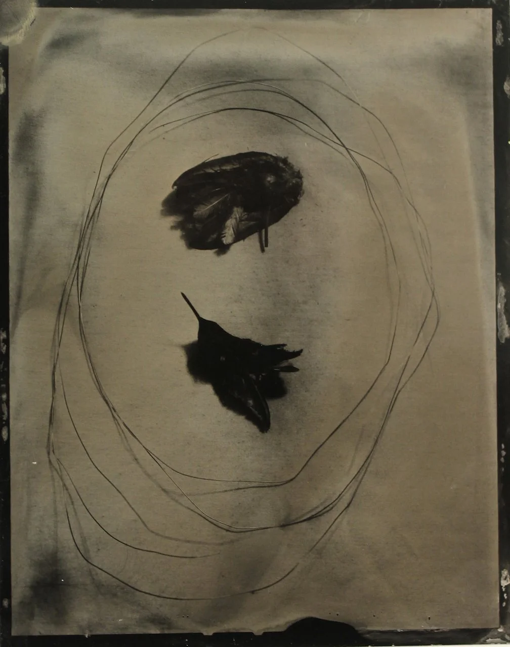 Jockel_Luci_Two Rubies.JPG