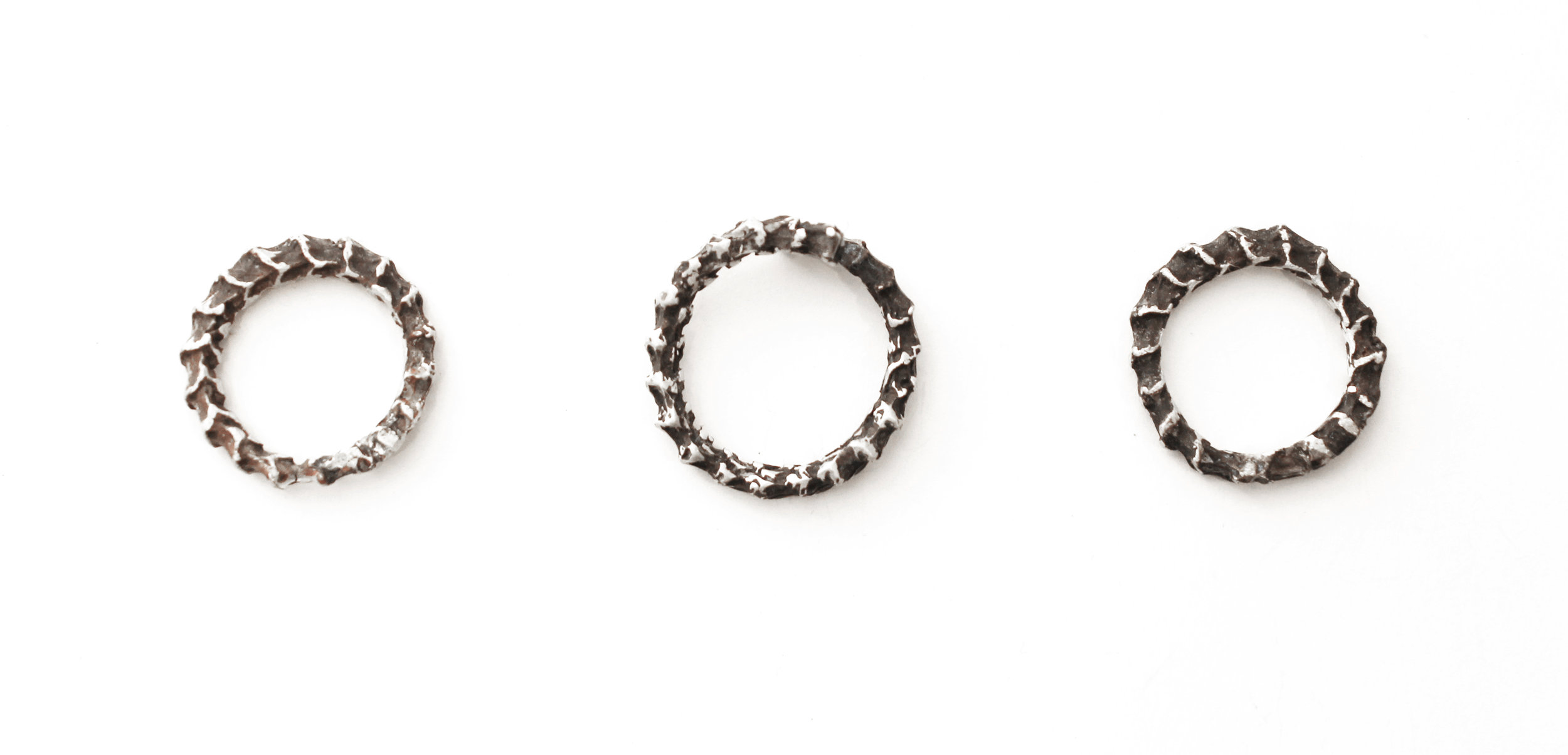 Snake spines trio.JPG