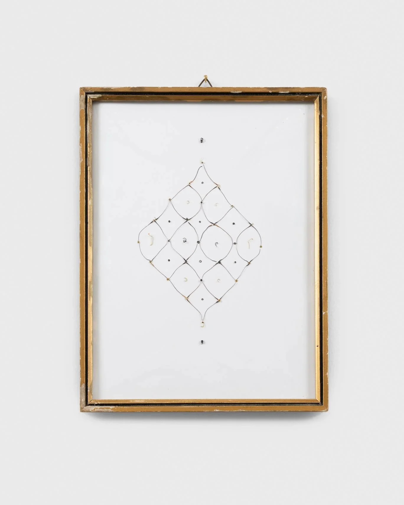  Nectar. Wall piece, 2025. Butterfly antennae and tongues, antique frame. Photographer: Vivan Doering 