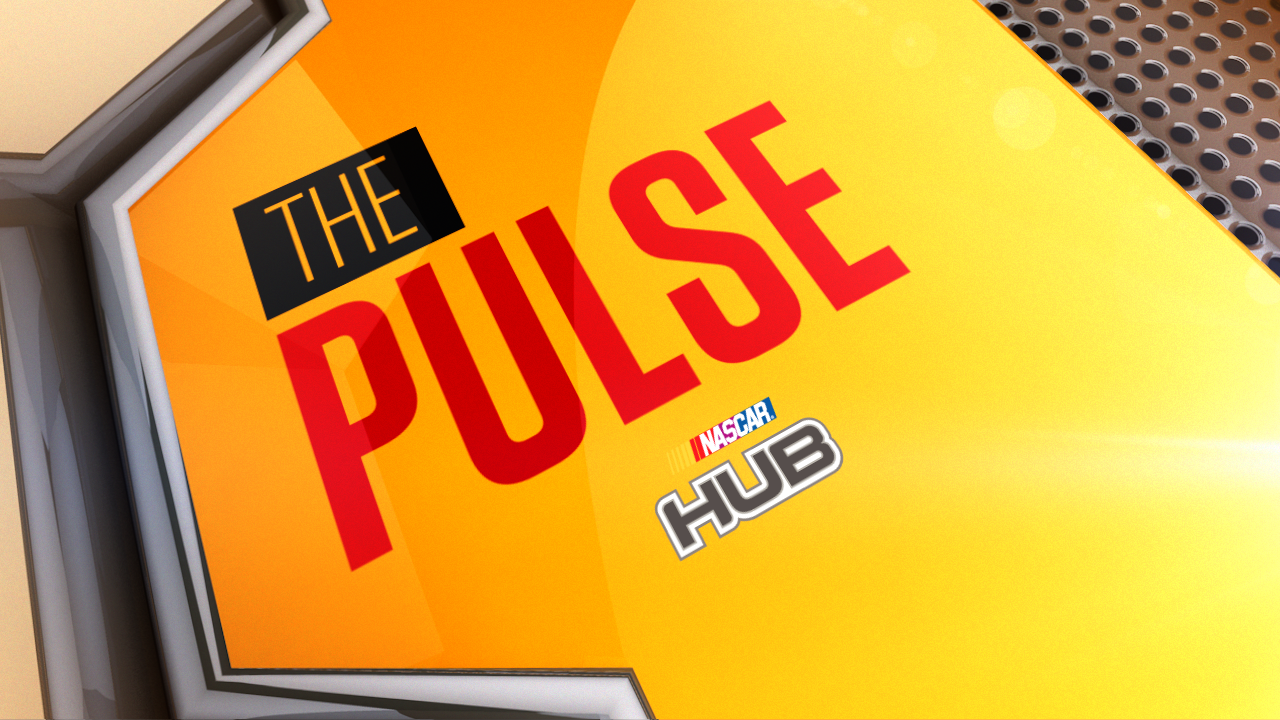 THE_PULSE.png