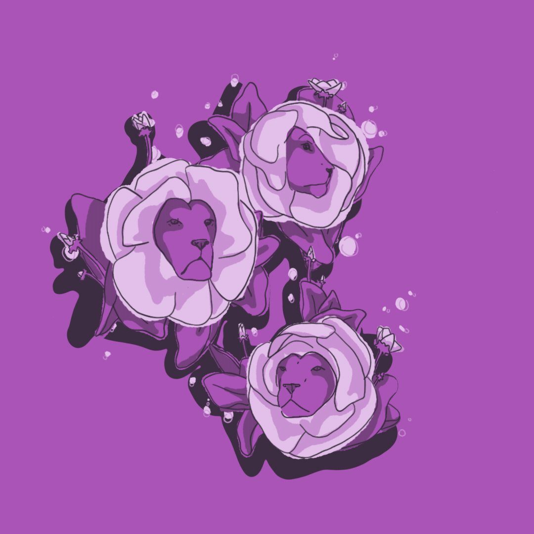 website.gif