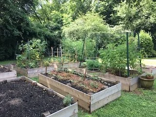 Community Garden for 2020
