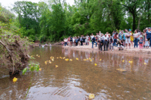 South Fork Conservancy Creek Rising 2020