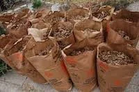 Yard Waste Pickup Suspended