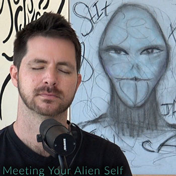 MeetingAlienSelfCD350.jpg
