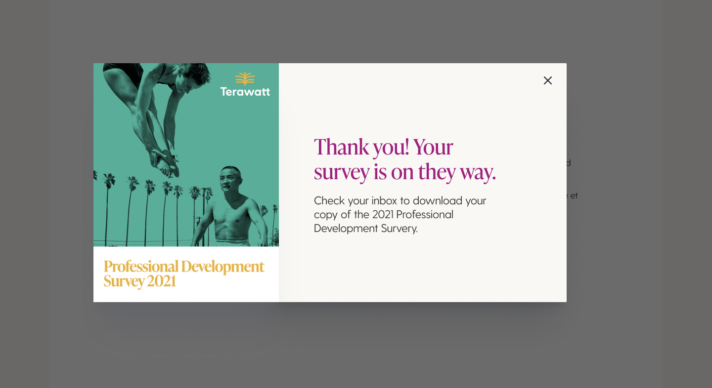 Email Caputure V2.png