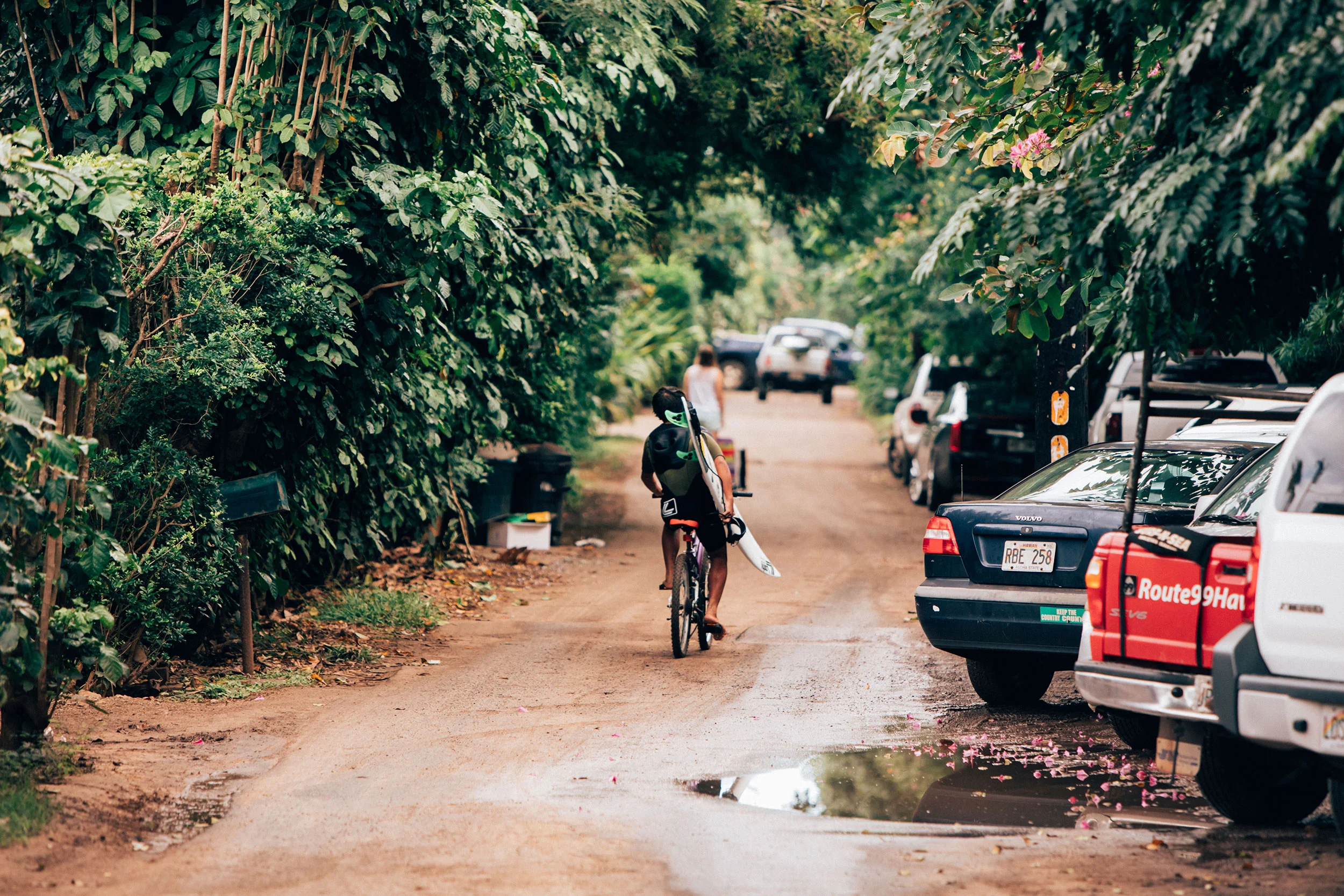 north shore transport