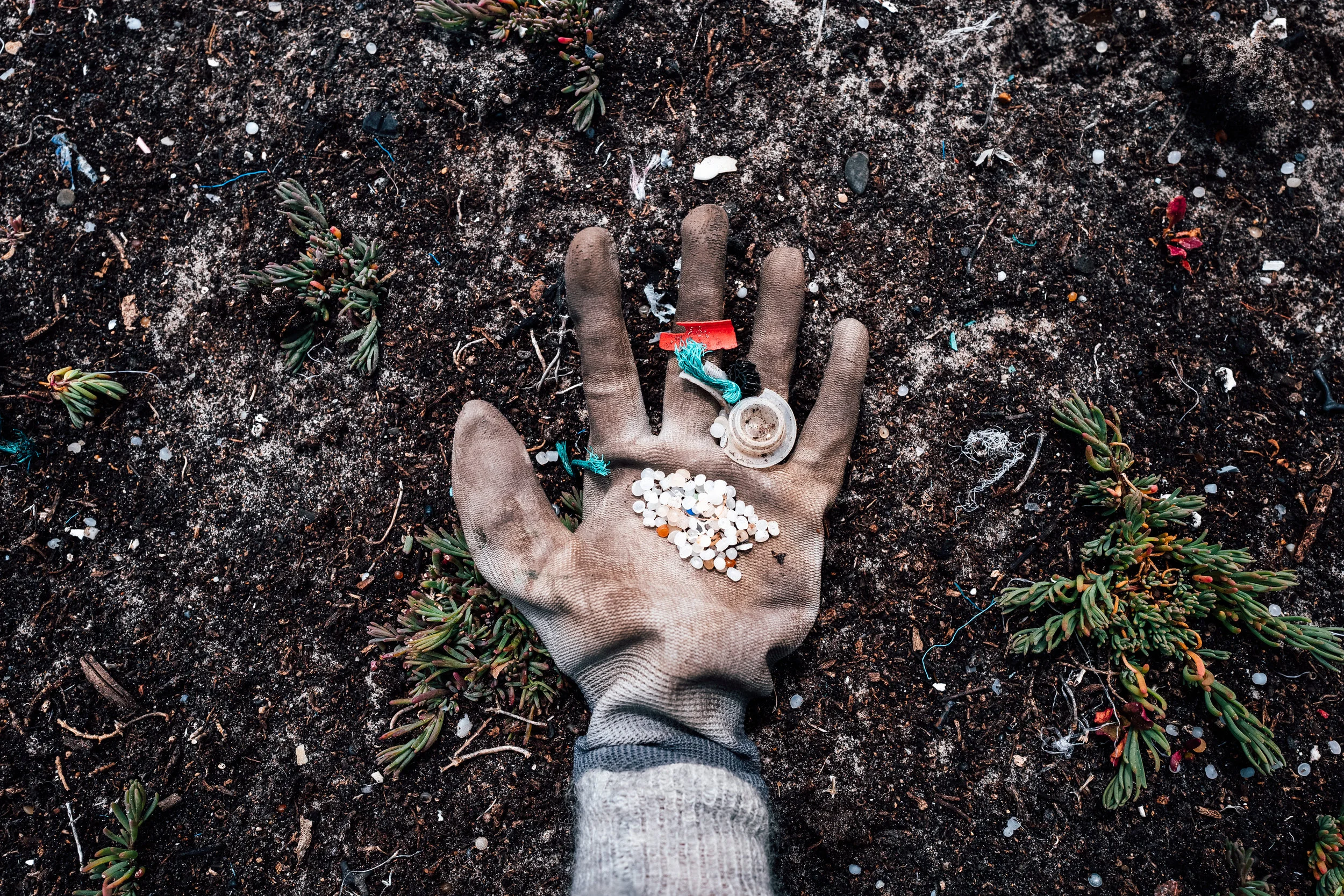 worldoceanday2019-150.jpg