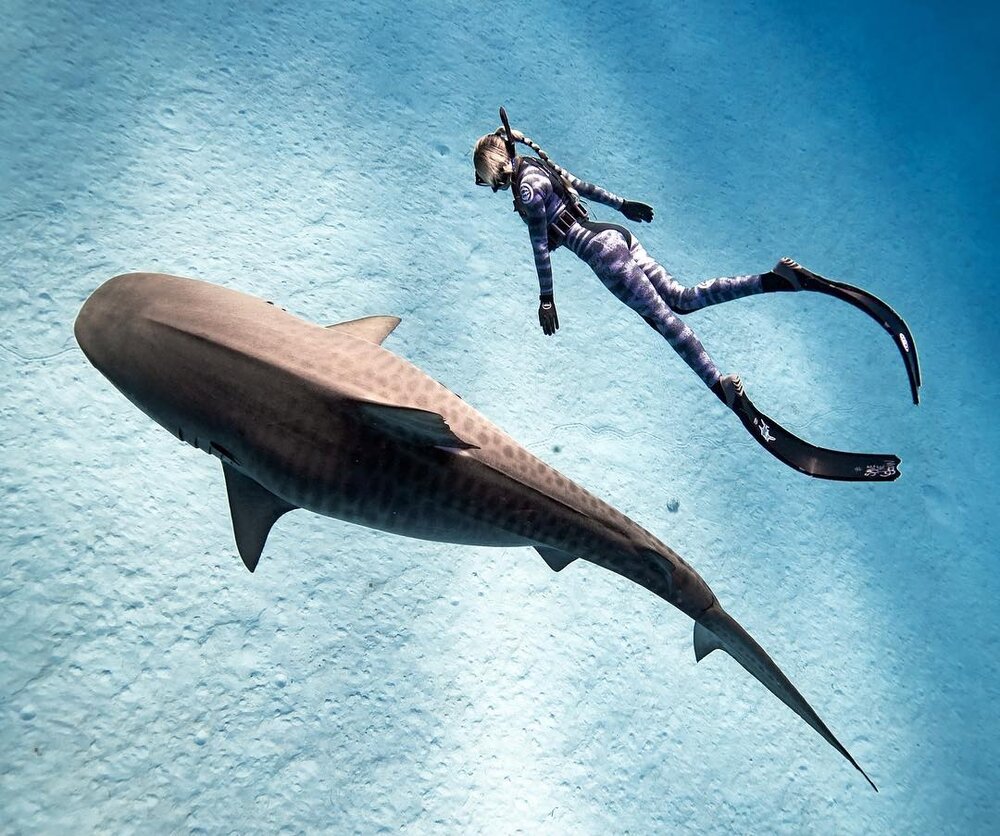 oceanramsey-1596625664997.jpg