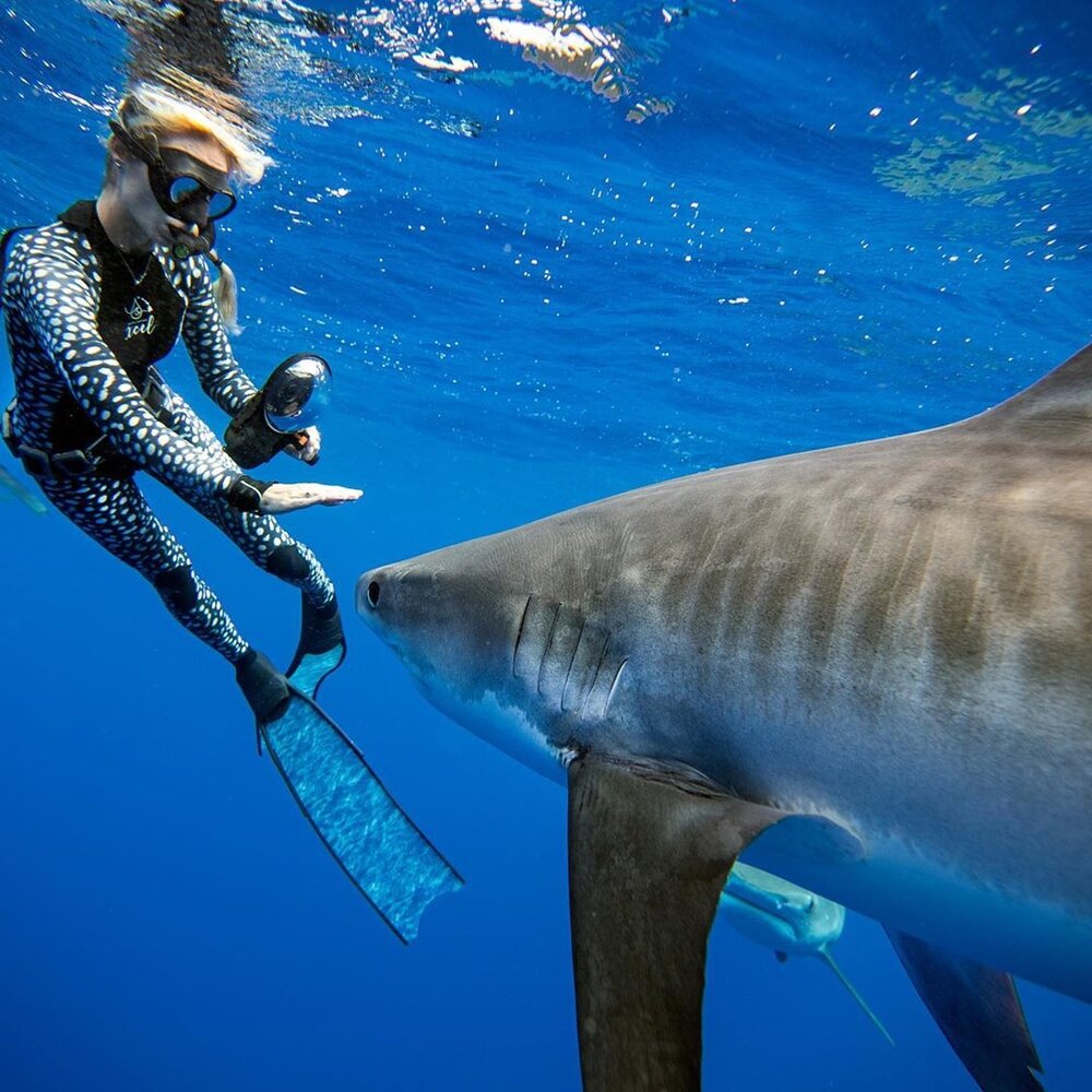 oceanramsey-1596625405778.jpg