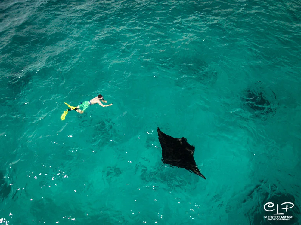 Matthew and a Manta Ray - Drone shot by Christian Loader - Raja Ampat