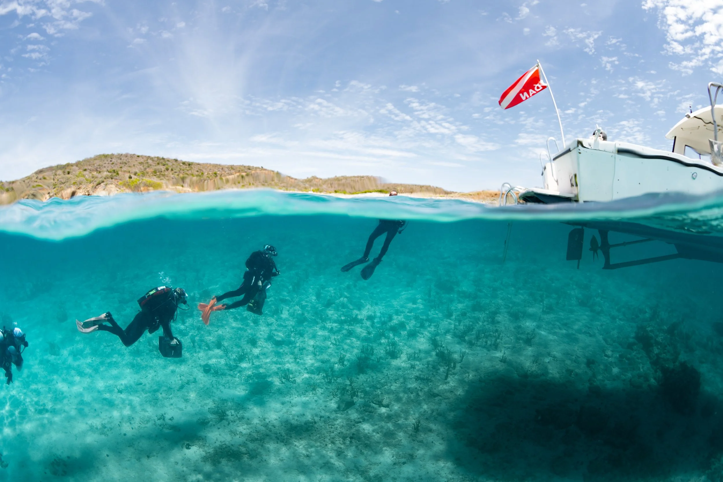 Nursery evolution.jpg