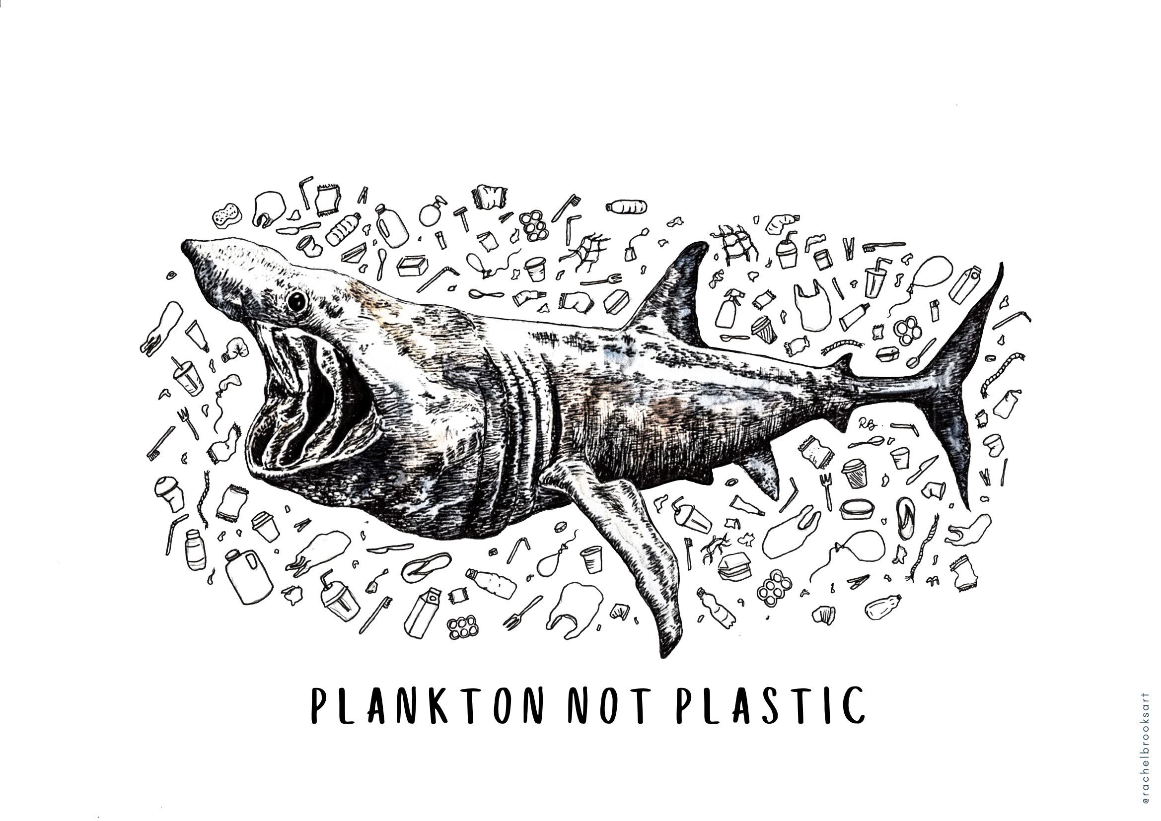 PLANKTON NOT PLASTIC Print (2).jpg