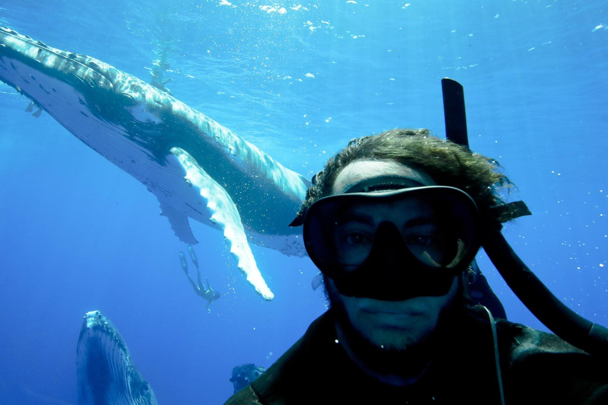 Aaron Lynton whale selfie profile pic.jpg