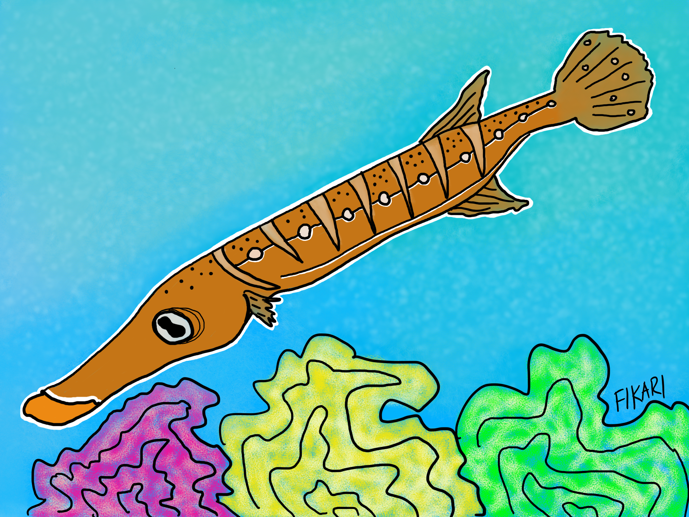 Trumpet Fish.PNG